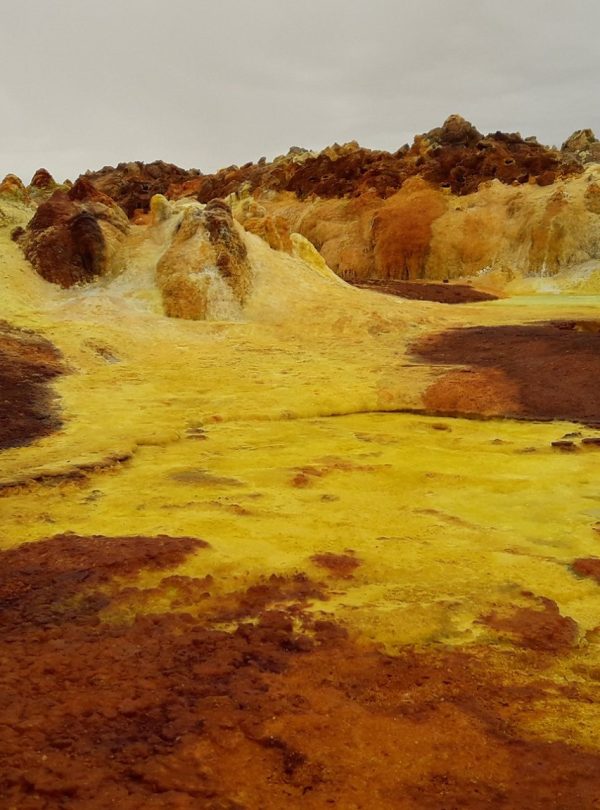 95246116_135174931422616_391997331483918336_n